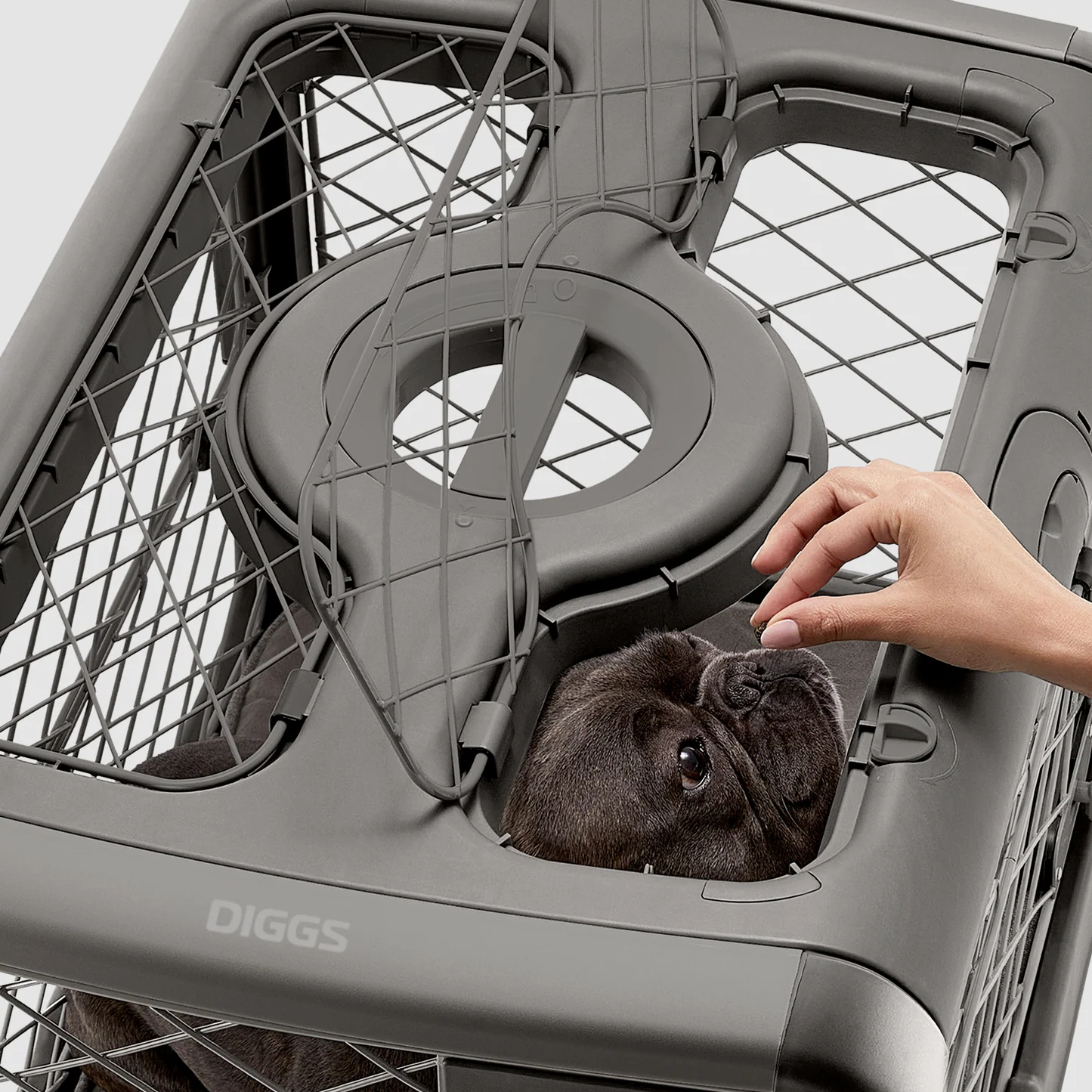 REVOL MEDIUM DOG COLLAPSIBLE DIGGS CRATE - Image 3
