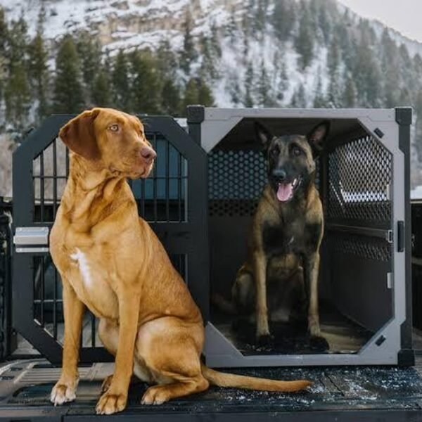 SMALL STATIONARY ROCK CREEK KENNEL
